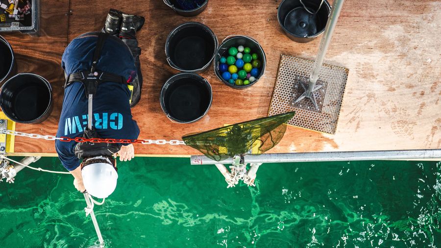 ocean plastic pollution, plastic pollution, great pacific garbage patch, GPGP, ocean cleanup, clean oceans