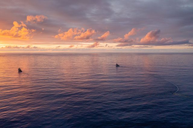 environmental charity, save oceans, donate to ocean conservation, donate to save the ocean, ocean conservancy donation, donate to the ocean, oceana,How to help clean the ocean, How to clean the oceans sustainably, Best ways to help save oceans