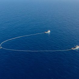 environmental charity, save oceans, donate to ocean conservation, donate to save the ocean, ocean conservancy donation, donate to the ocean, oceana