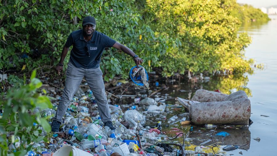 Plastic pollution can get trapped in mangrove ecosystems, creating barriers that prevent seawater from moving in and out of the forest, which increases salinity and results in ecosystem degradation.