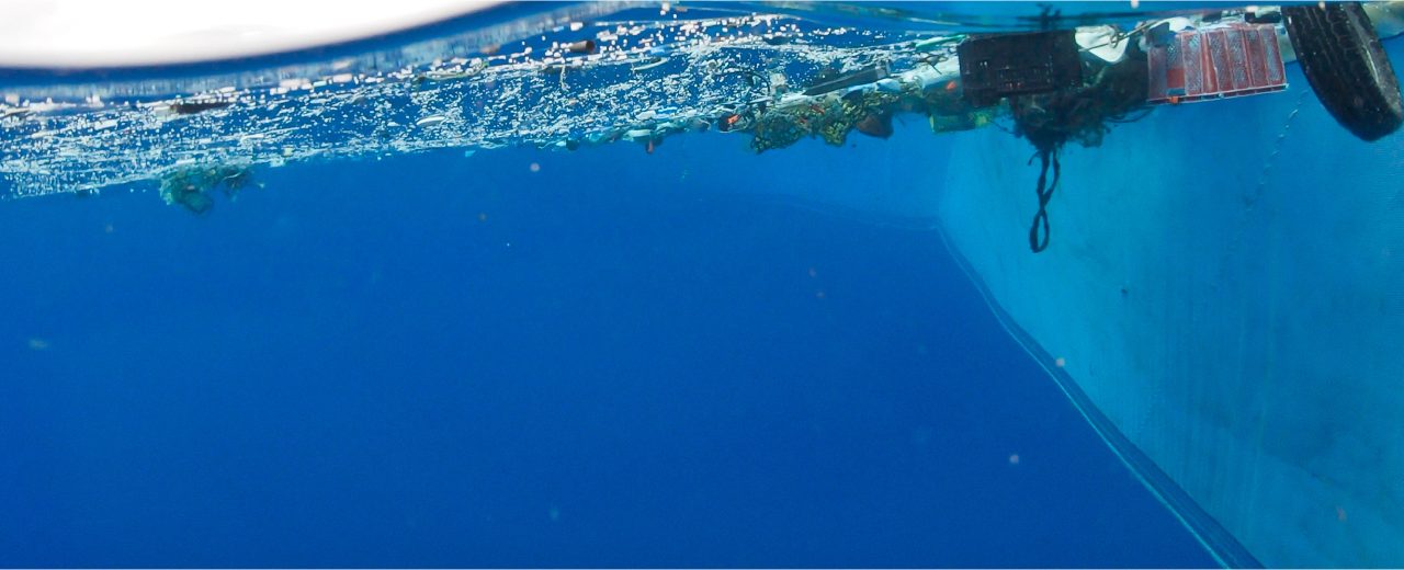 Donate to ocean cleanup, donation clean oceans, donate plastic pollution, oceana, save oceans, environmental charity