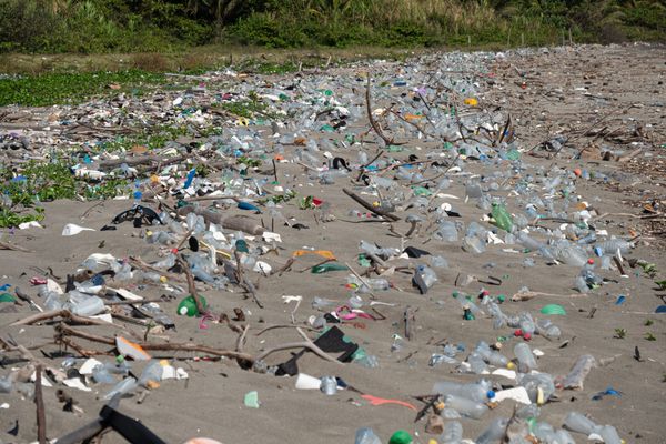 Guatemala coastline littered with trash